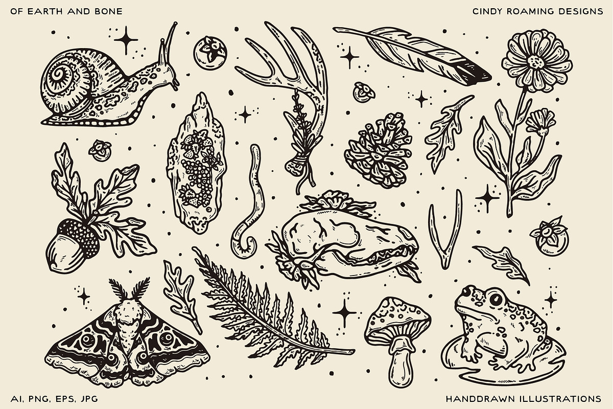 Of Earth & Bone Illustration Pack, an Illustration by cindyroamingdesigns (Photo 2 of 7)