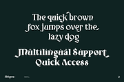Shioma, a Serif Font by Aluyeah Studio (Thumbnail 13 of 15)