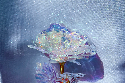 Holographic rose