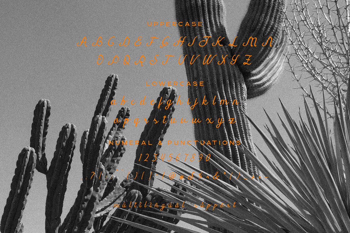 Gelapitto Script Font, a Script Font by Hishand Studio (Photo 6 of 8)