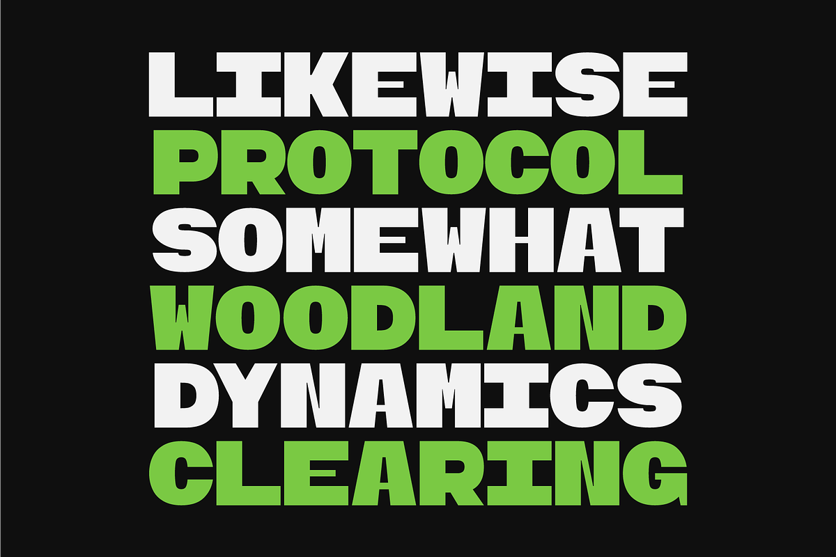 Ogre Mono Grotesk Display, a Font by leme.store (Photo 6 of 10)