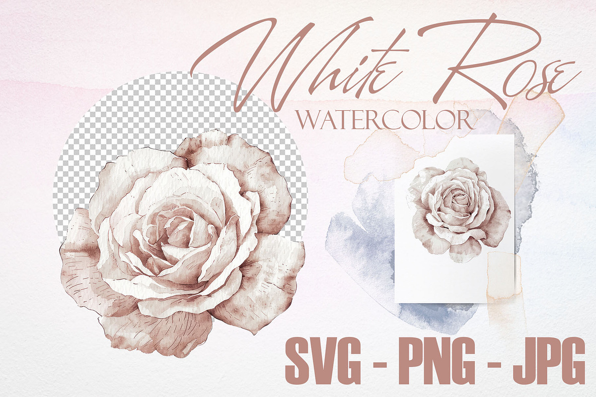 Watercolor White Rose Vector Set, a Graphic by Deckar_art (Photo 2 of 5)