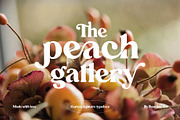 Ligature Font BUNDLE, a Serif Font by BrandSemut (Thumbnail 10 of 70)