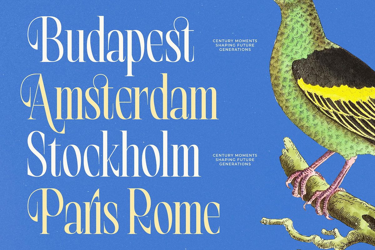 Bright Renew Modern Serif Display, a Serif Font by timelesstype.co (Photo 5 of 20)