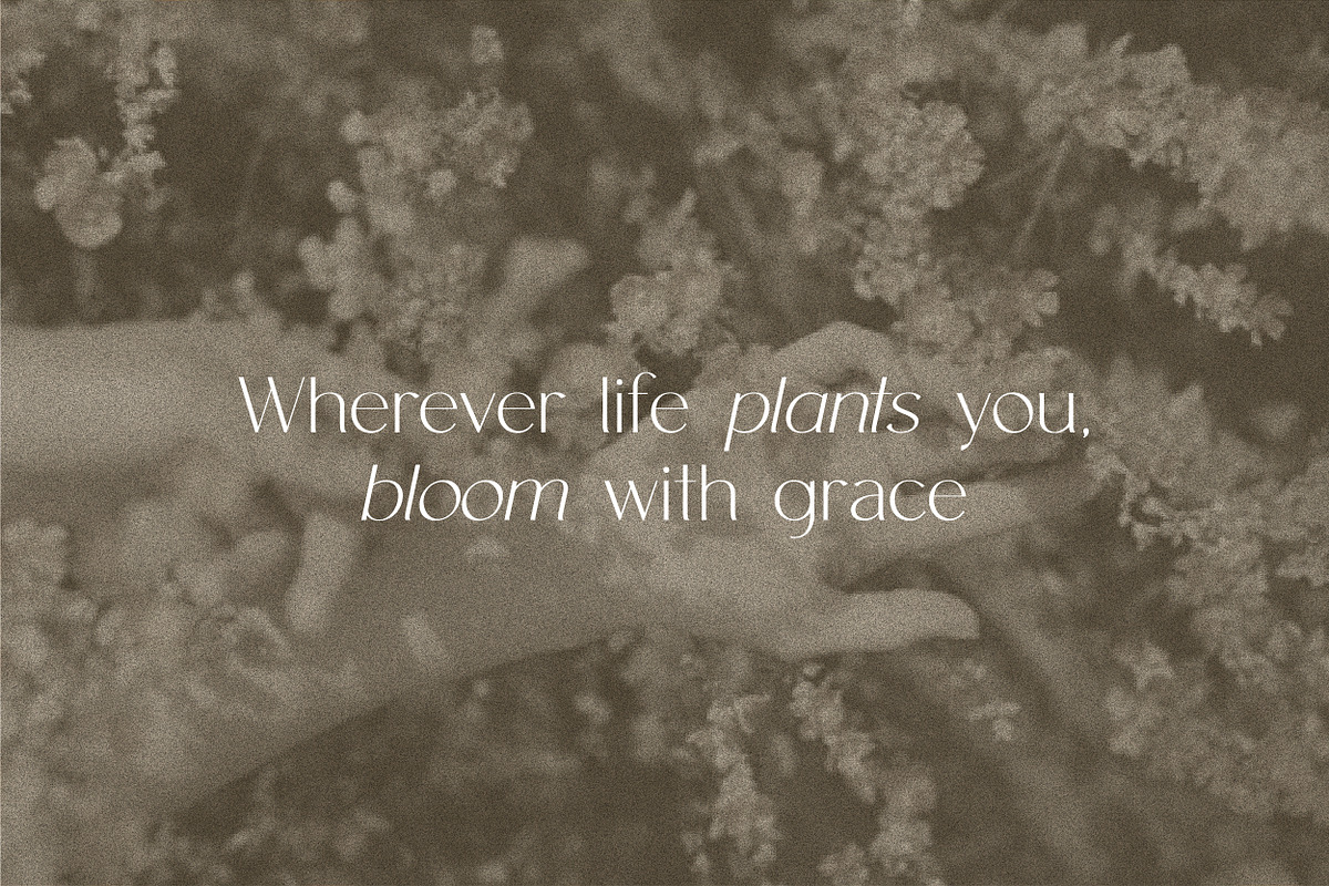 Clio - Clean Display Sans, a Sans Serif Font by Harmonais Visual (Photo 7 of 22)
