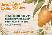 Bahamas Ville Retro Font Duo, a Handwritten Font by Sixtype (Thumbnail 4 of 12)