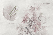 Timeless Lily wall mural set, a Wallpaper Graphic by Timofi Art (Thumbnail 11 of 13)