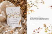 Autumn Meadow Watercolor Florals, a Seasonal Illustration by Yuliia Lashevska (Thumbnail 2 of 14)