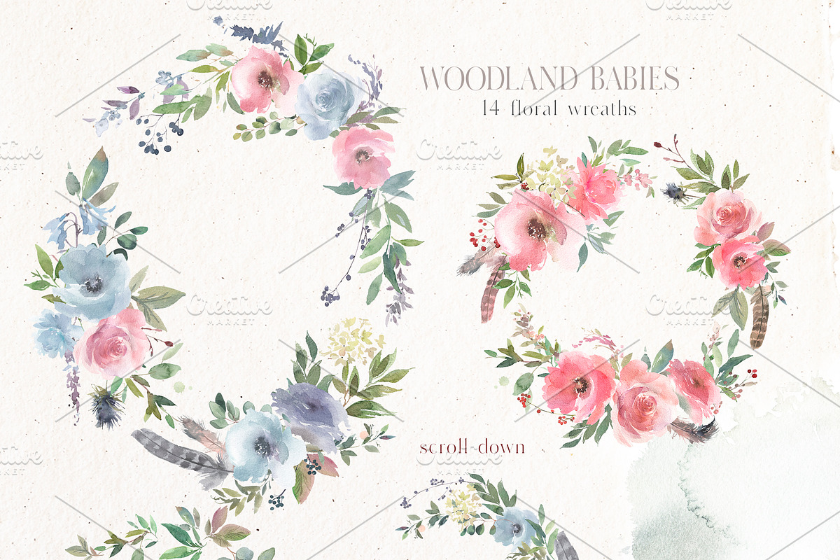 Woodland Babies Wild Animals Clipart, an Animal Illustration by whiteheartdesign (Photo 23 of 28)