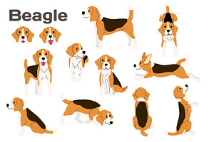 Beagle vector illustration set