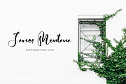 Dettiruka Stylish Handwritten, a Script Font by pineungtype (Thumbnail 6 of 7)