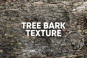 20 Tree Bark Texture