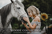 Moody presets for Lightroom + mobile, an Action Add-On by BeArt-Presets (Thumbnail 1 of 18)