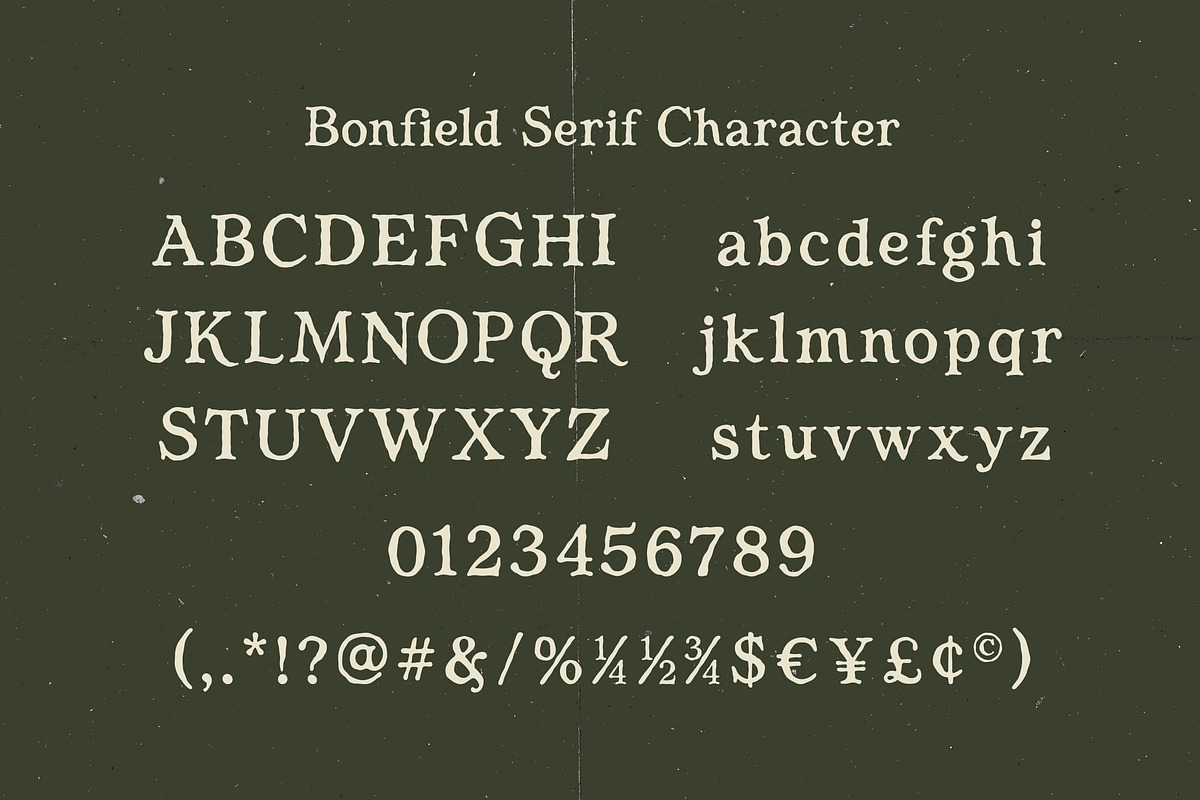 Bonfield – Modern Vintage Duo Font, a Serif Font by Honestype (Photo 11 of 12)