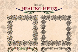 Healing Herbs Botanical Bundle