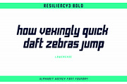 RESILIENCY FONT FAMILY, a Sans Serif Font by Alphabet Agency (Thumbnail 10 of 11)