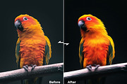 Oil Paint - Preset - Actions, an Action Add-On by Modaldesain (Thumbnail 3 of 4)