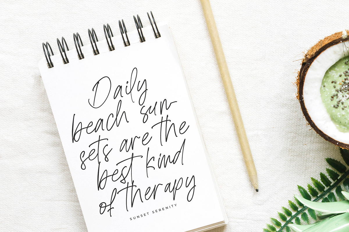 Bestnight Tropicals Ballpoint Script, a Script Font by stylishtype.co (Photo 4 of 20)