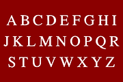 Chrismas cheer, a Symbol Font by Petal Pixels (Thumbnail 3 of 9)