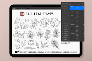 Fall Leaf Procreate Brush Stamps