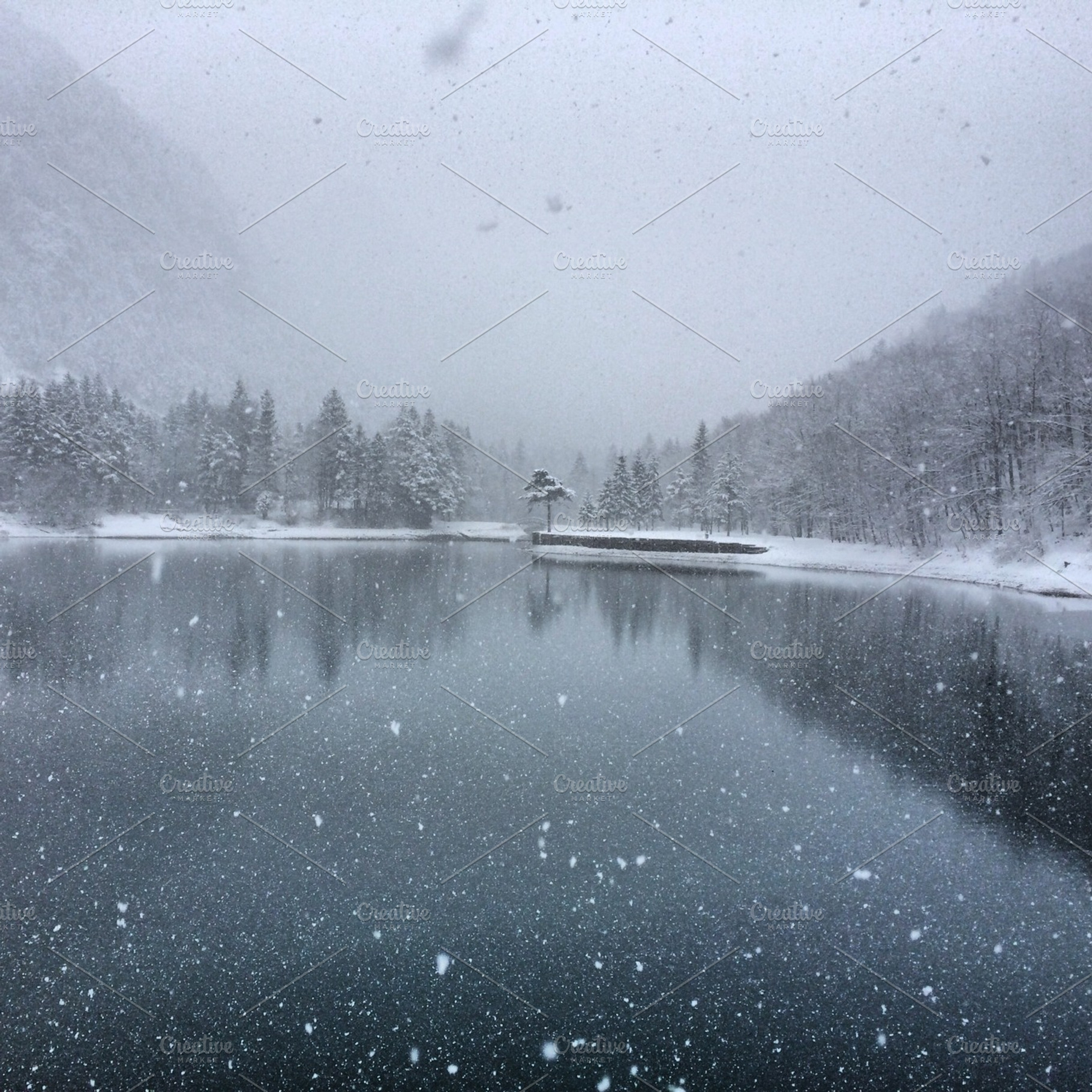 Winter Fairytale At Lake And Forest