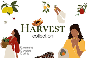 Autumn Harvest vector Collection