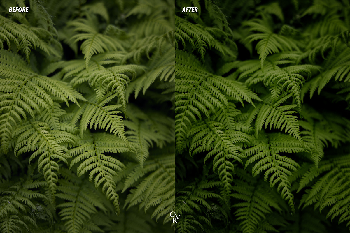 Cinematic Greens Lightroom Presets, a Preset Add-On by CVR Presets (Photo 4 of 6)