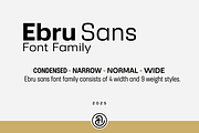 Ebru Sans Font Family, a Sans Serif Font by Ahmet Altun (Thumbnail 1 of 7)
