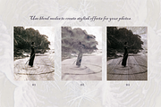 Ethereal Nature Archive Backgrounds, a Background Graphic by Natali Batu (Thumbnail 7 of 9)