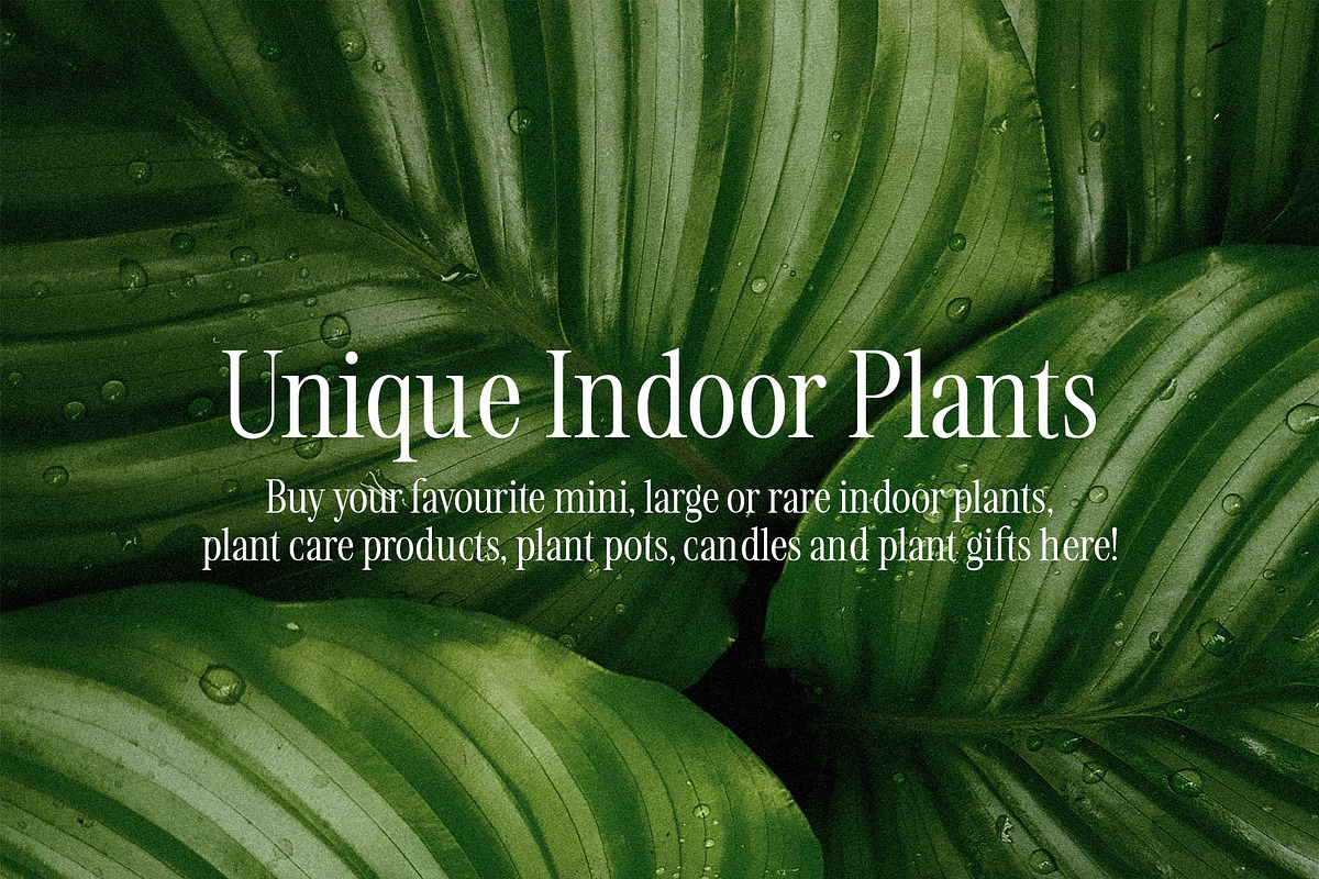 CleanHeart - Simple serif font, a Serif Font by BilberryCreates (Photo 4 of 15)
