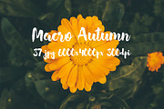 Macro Autumn photo bundle, a Templates & Theme by ApertureVintage (Thumbnail 11 of 21)
