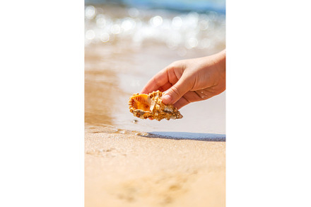The child takes a seashell on the, a Person Photo by yanadjana