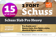 SchussSlabProHeavy No.15 (1 Font), a Slab Serif Font by typic schuss (Thumbnail 2 of 6)