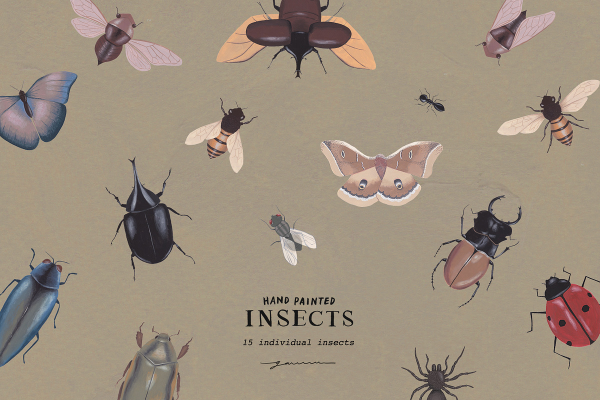 Hand Painted Insects Clipart, an Illustration by gamm (Photo 2 of 9)