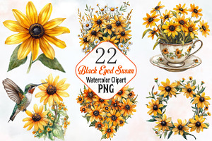 Black Eyed Susan Watercolor Cliparts, an Illustration by RobertsArt