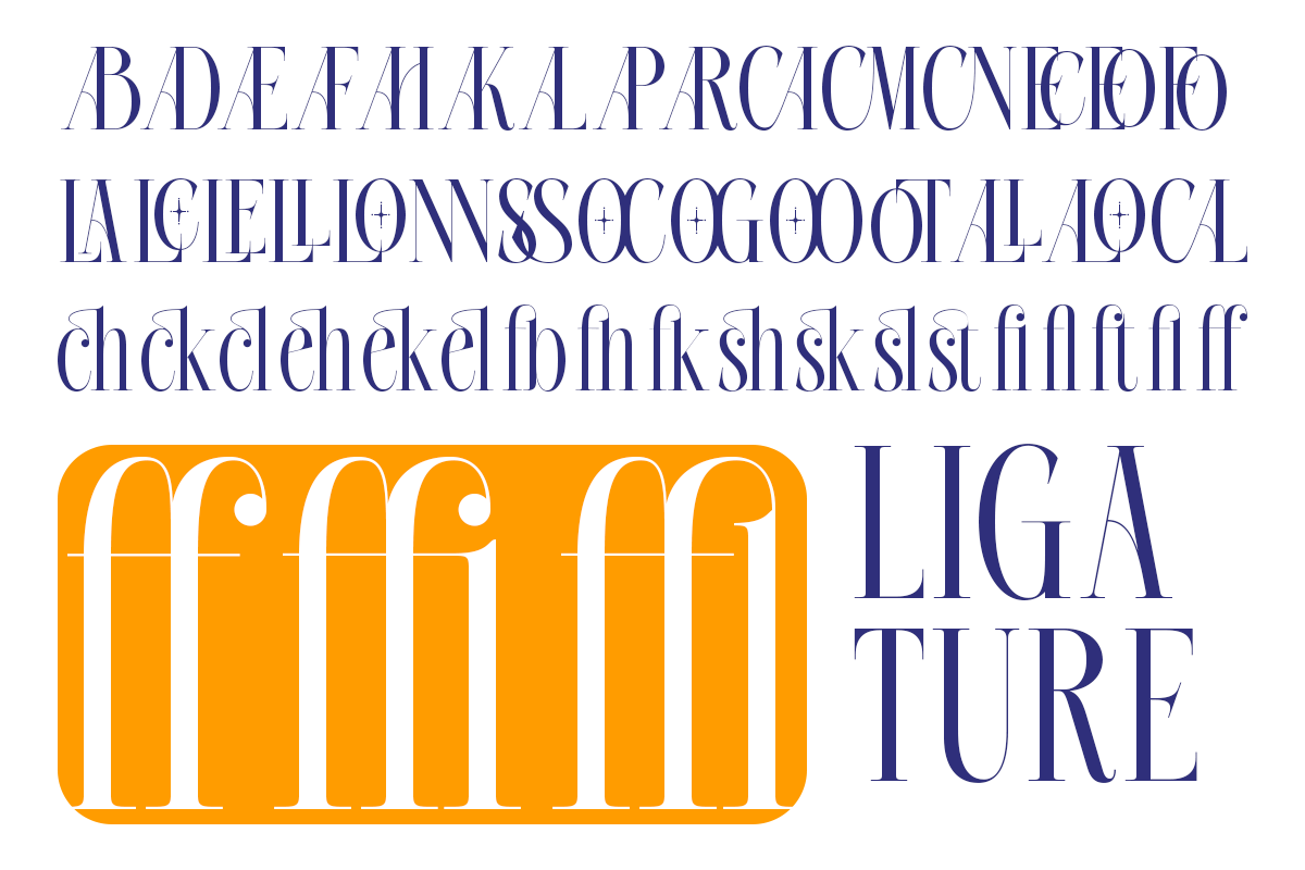 Roelvo - Clean Elegant Display Serif, a Serif Font by Qweera Studio (Photo 9 of 12)