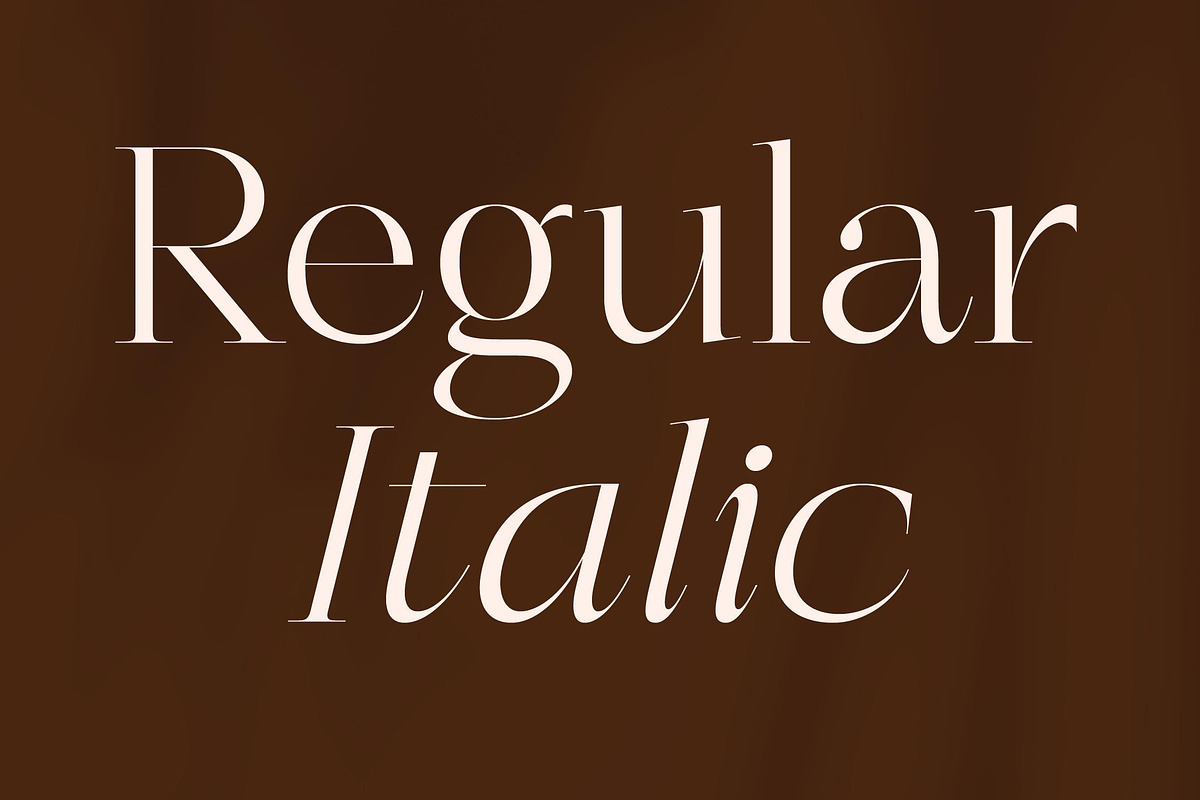 Berloja Satfline Modern Serif Font, a Serif Font by Letterena Studios (Photo 5 of 15)