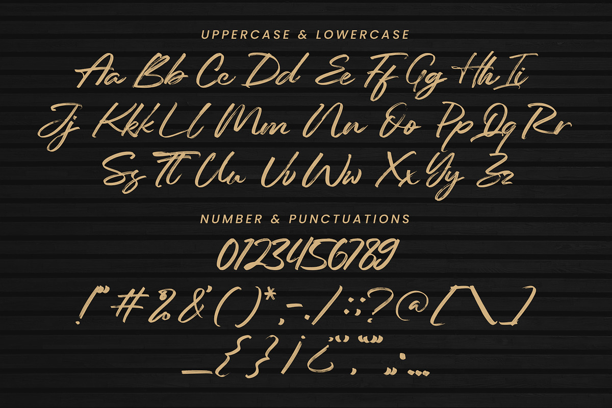 Reinkies - Authentic Brush Script, a Script Font by Almarkhatype (Photo 8 of 10)