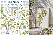 Lemon Watercolor Clipart Set, a Food Illustration by Alisles (Thumbnail 2 of 11)