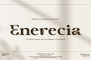 Enerencia Serif Font, a Serif Font by Rasio Studio (Thumbnail 1 of 10)