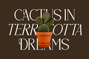 Brastoville - Modern Serif Font, a Serif Font by Rishsketch (Thumbnail 7 of 15)