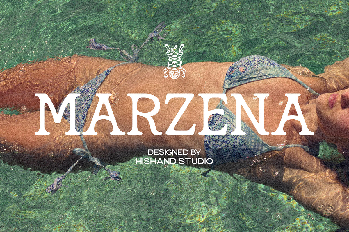 Marzena Display Font, a Slab Serif Font by Hishand Studio (Photo 1 of 10)