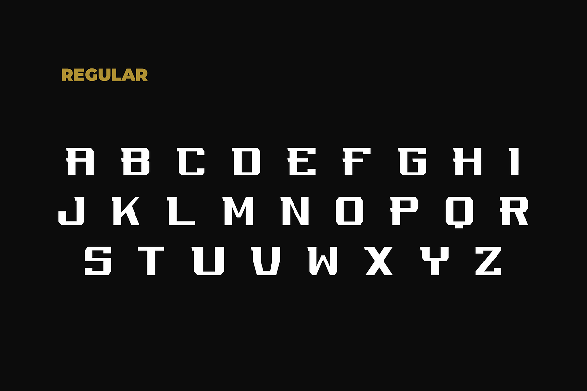 REGUILON Sport Displat Font preview 4