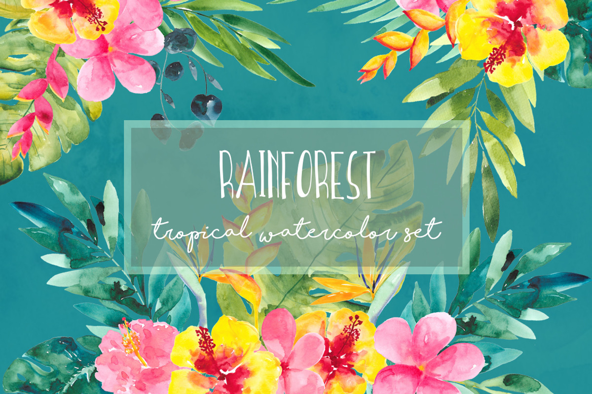 Rainforest, a Decorative Illustration by Charushella (Photo 1 of 9)