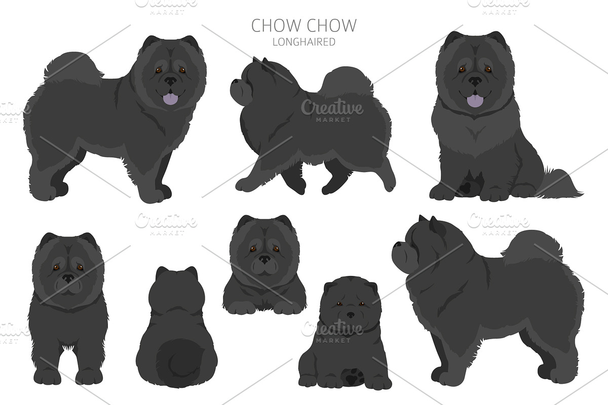 Chow chow (longhaired) clipart, an Animal Illustration by pet design shop (Photo 6 of 9)