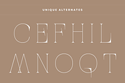 Aroba Modern - Elegant Logo Font, a Serif Font by Nirmana Visual (Thumbnail 4 of 15)