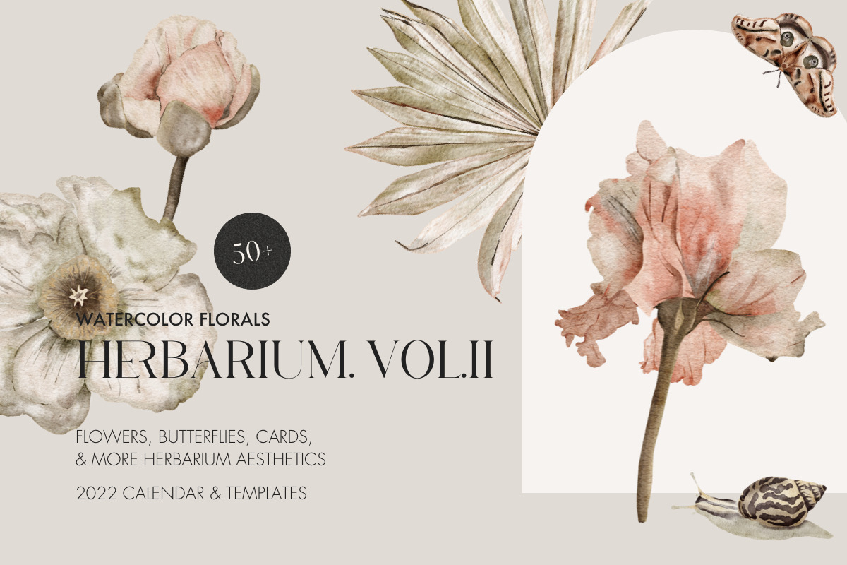 Herbarium II - Dried Pressed Flowers, an Illustration by AnaPierceArt (Photo 1 of 6)