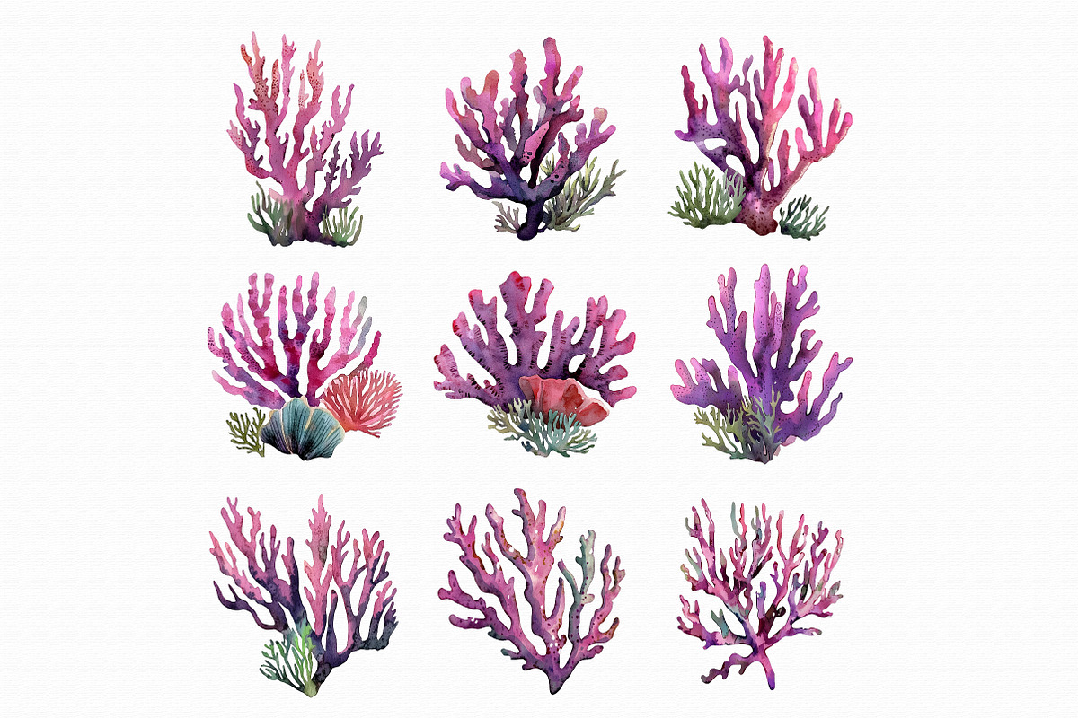 Watercolor Coral Clipart, an Illustration by Libby Wishes (Photo 2 of 5)