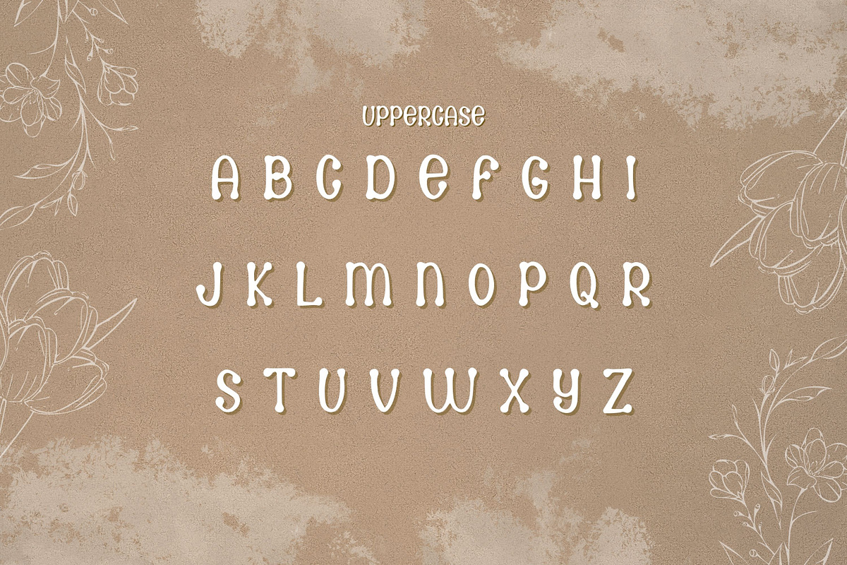 Antonika Font, a Handwritten Font by V Design Creator (Photo 2 of 9)