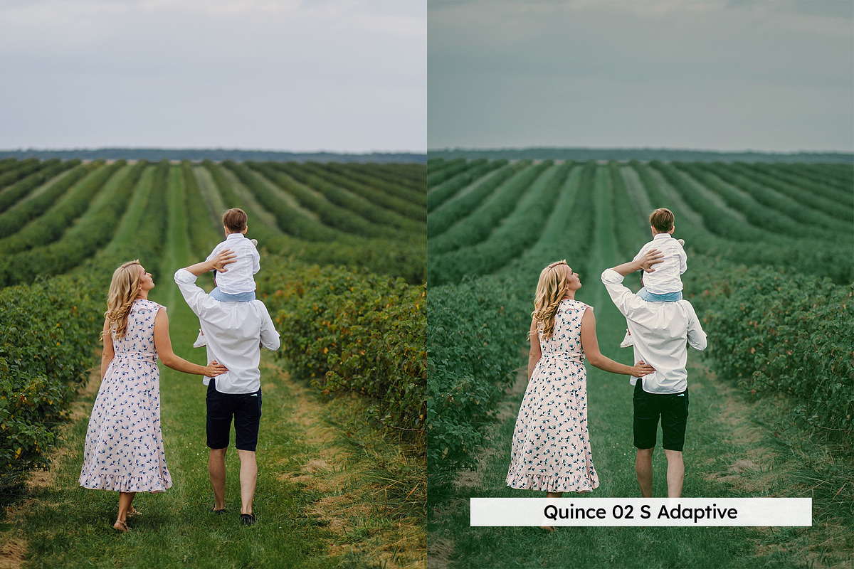 20 Cider Lightroom Presets and LUTs, a Preset Add-On by SparkleStock (Photo 6 of 13)